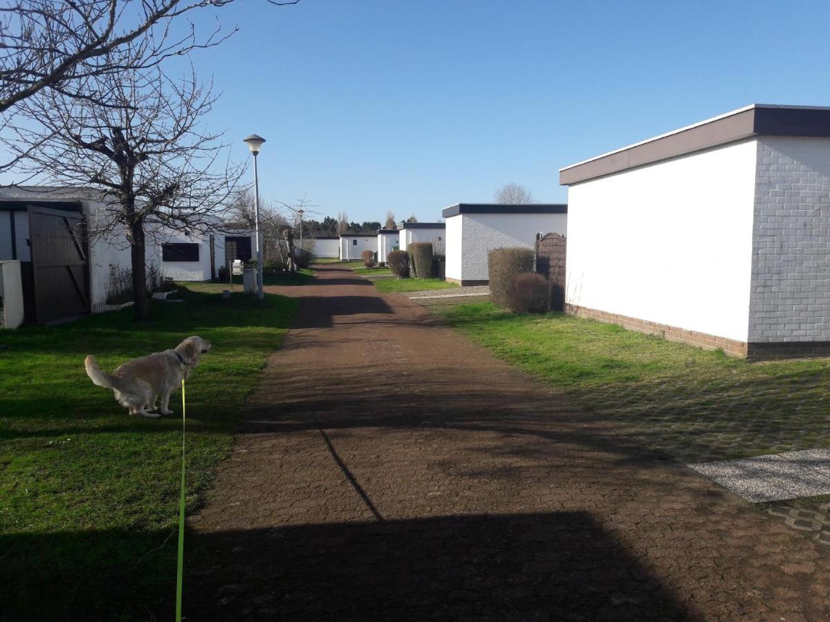 Villa Le Petit Blekker Koksijde Esterno foto